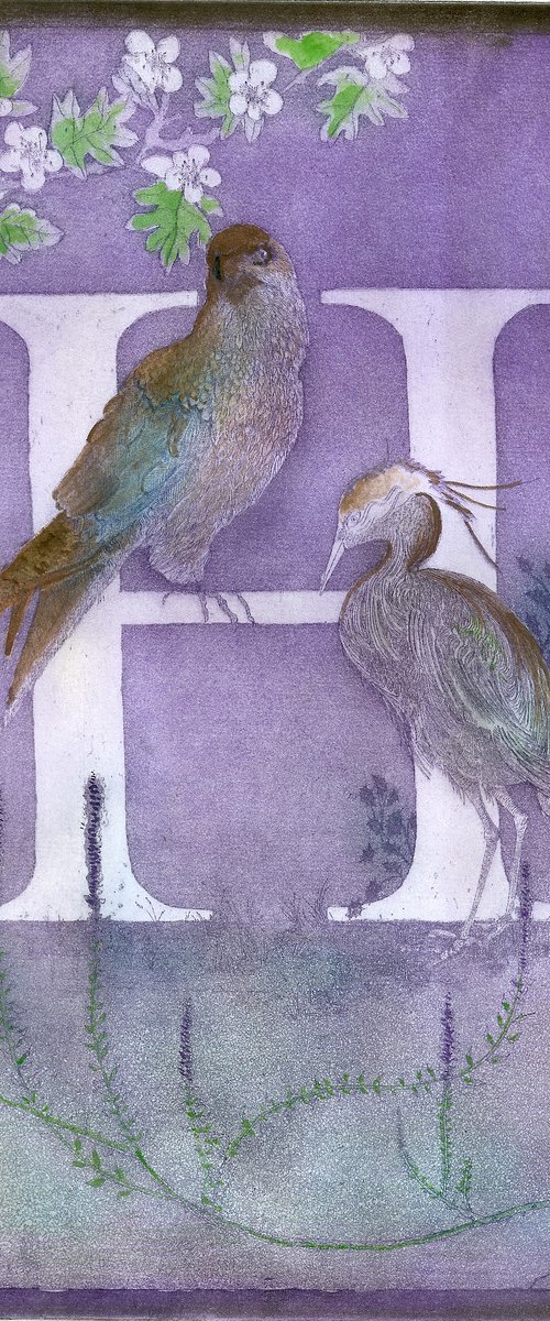 H by Jane Daniell