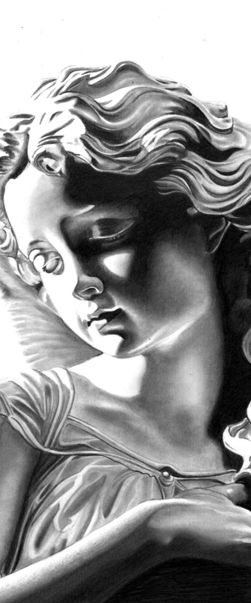 Angel by Paul Stowe